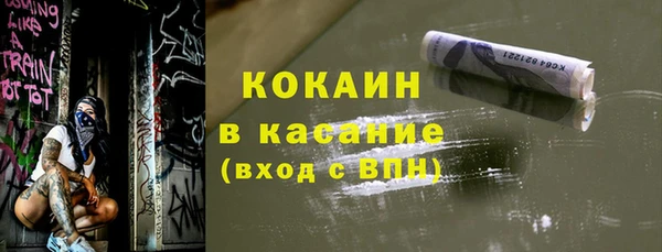 индика Нязепетровск
