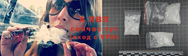 индика Нязепетровск