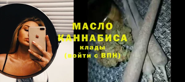 индика Нязепетровск