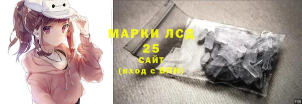 молекула духа Няндома