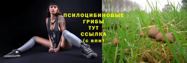 молекула духа Няндома