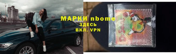 индика Нязепетровск