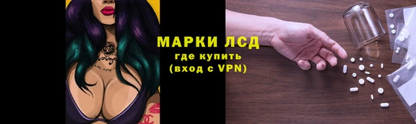 индика Нязепетровск