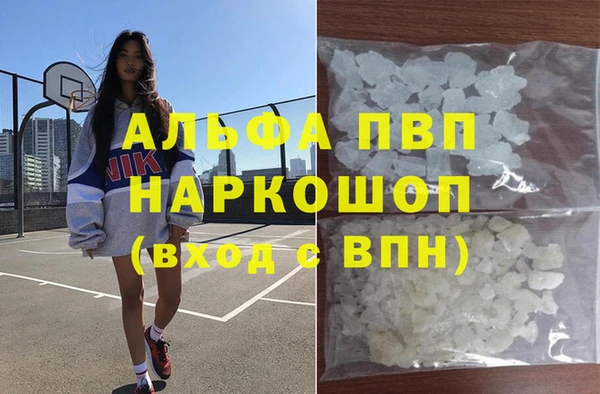 молекула духа Няндома