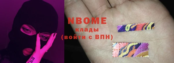 молекула духа Няндома