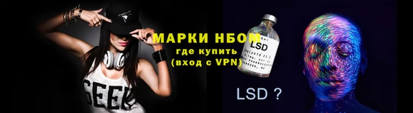 молекула духа Няндома
