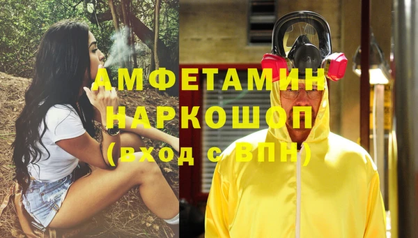 индика Нязепетровск
