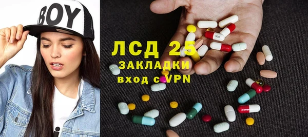 индика Нязепетровск