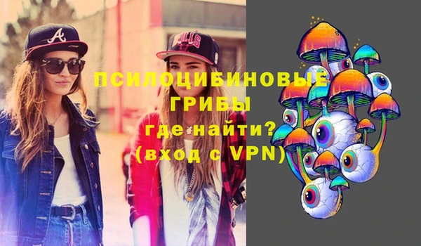 дурь Нягань