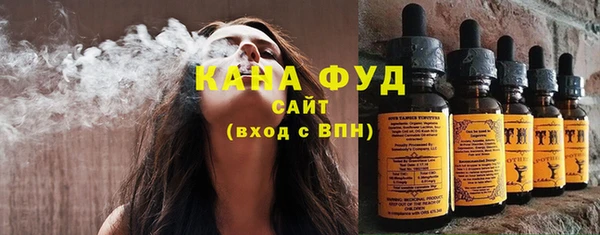молекула духа Няндома