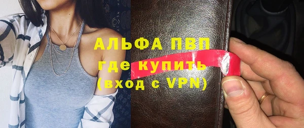 молекула духа Няндома