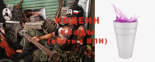 индика Нязепетровск