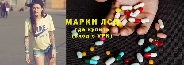 индика Нязепетровск