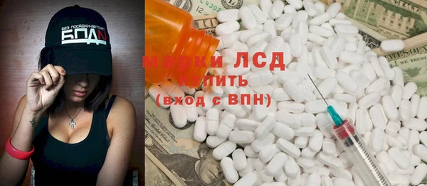 индика Нязепетровск