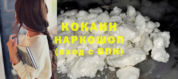 индика Нязепетровск