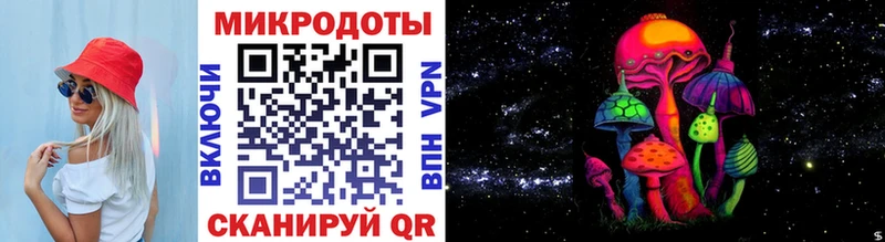 Псилоцибиновые грибы Psilocybine cubensis  Красновишерск 